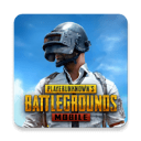 地铁逃生国际服(PUBG MOBILE)